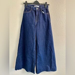 Zara High Waisted Extra Wide leg Jeans Size 2